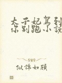 太子妃驾到总裁你别跑小说