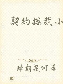 契约总裁小萌宝