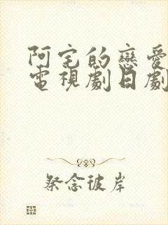 阿宅的恋爱真难电视剧日剧