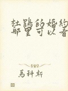 杜鹃的婚约动漫哪里可以看