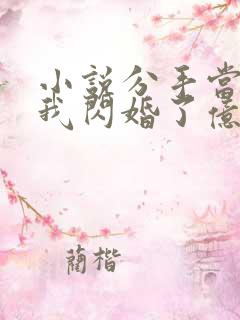 小说分手当天,我闪婚了亿万富豪