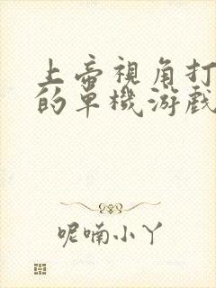 上帝视角打僵尸的单机游戏