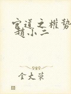 官道之权势滔天 赵小二