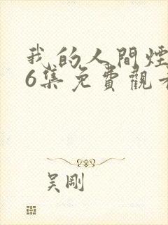 我的人间烟火46集免费观看电视剧