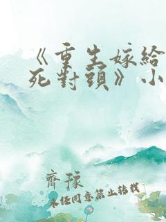 《重生嫁给前夫死对头》小说