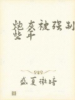 炮灰被强制的那些年