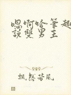 嗯啊哈笔趣阁小说双男主