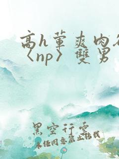 高h荤爽肉欲文〈np〉双男