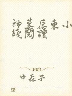 神墓辰东小说在线阅读