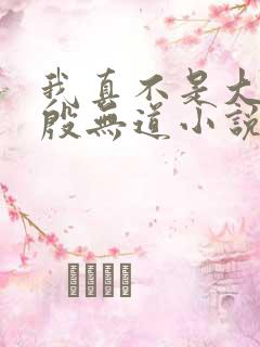 我真不是大反派殷无道小说