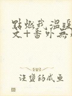 点燃我温暖你全文+番外无删减