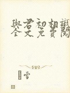 与君初相识小说全文免费阅读