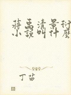 蒋禹清景衍穿越小说叫什么名字