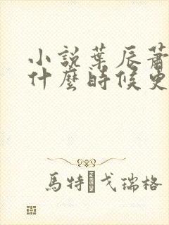 小说叶辰萧初然什么时候更新