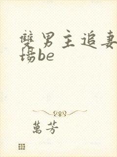 双男主追妻火葬场be