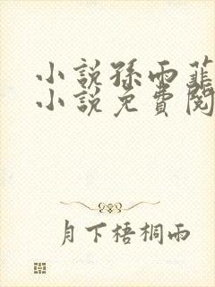 小说孙雨菲主角小说免费阅读全文