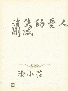 消失的爱人 未删减