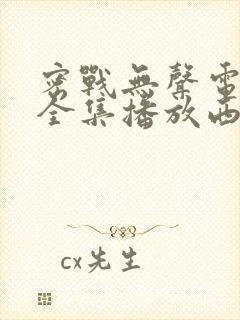 密战无声电视剧全集播放西瓜