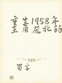 重生1958年主角庞北的小说