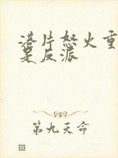 港片怒火重案我是反派