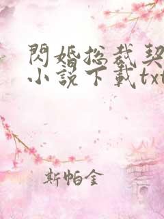 闪婚总裁契约妻小说下载txt