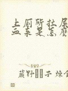 上厕所拉屎拉出血来是怎么回事