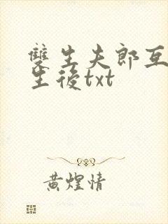 双生夫郎互换人生后txt