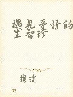 遇见爱情的利先生智珍