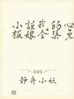 小说我的心动老板娘全集免费