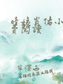 晴姨肖佑小说免费阅读