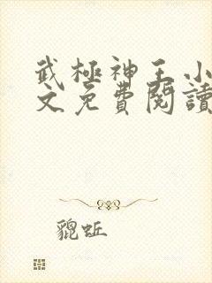 武极神王小说全文免费阅读