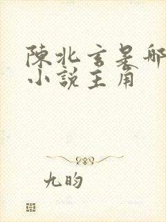陈北玄是哪一部小说主角