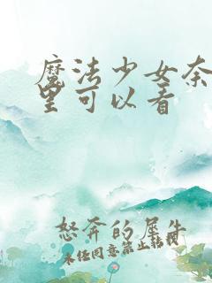 魔法少女奈叶哪里可以看