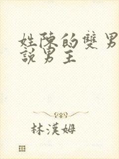 姓陈的双男主小说男主