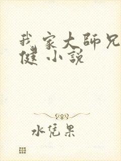 我家大师兄太稳健 小说