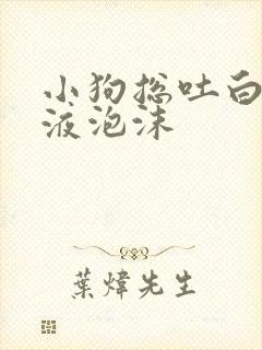 小狗总吐白色粘液泡沫