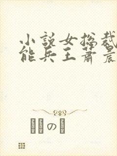 小说女总裁的全能兵王萧晨完全版