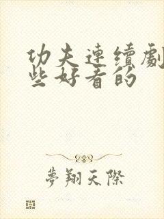 功夫连续剧有哪些好看的