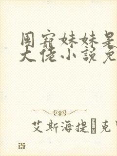 团宠妹妹是马甲大佬小说免费讲述