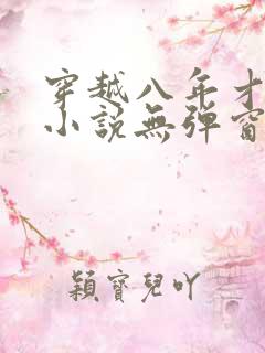 穿越八年才出道小说无弹窗