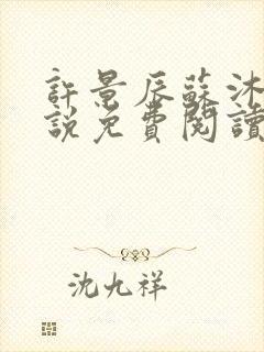 许景辰苏沐晴小说免费阅读最新章节