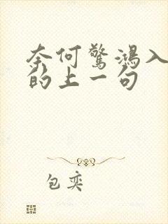 奈何惊鸿入我心的上一句