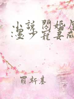 小说 闪婚厚爱:墨少宠妻成瘾