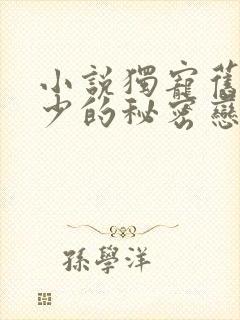 小说独宠旧爱陆少的秘密恋人