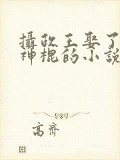 摄政王娶了个小神棍的小说