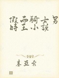 假面骑士另一个时王小说