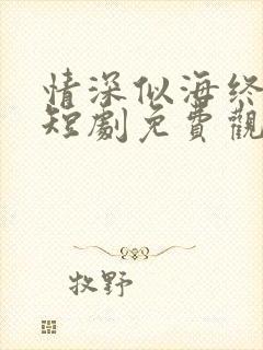 情深似海终成空短剧免费观看全集