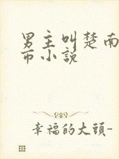 男主叫楚南的都市小说