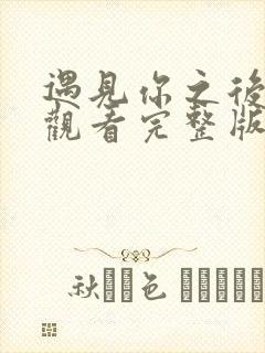 遇见你之后免费观看完整版电视剧