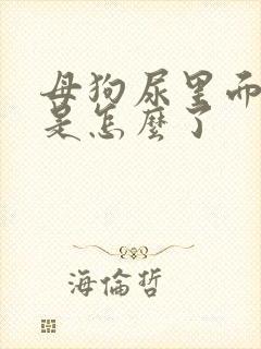 母狗尿里面尿血是怎么了